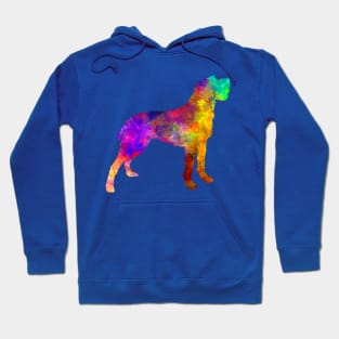 Bohemian Wirehaired Pointing Griffon in watercolor Hoodie